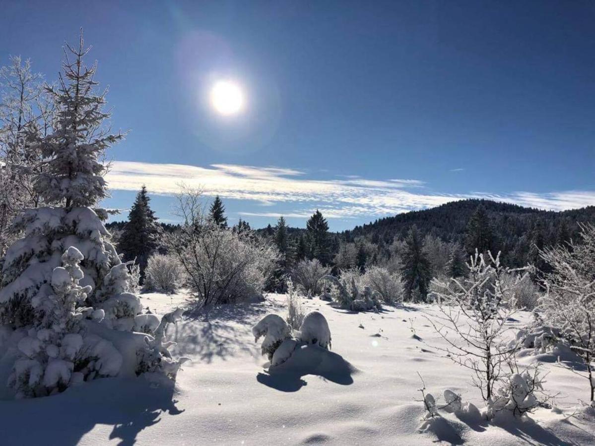 Dren Chalet Lux - Banjska stena Perucac Eksteriør bilde